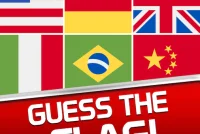 Guess Flag Game